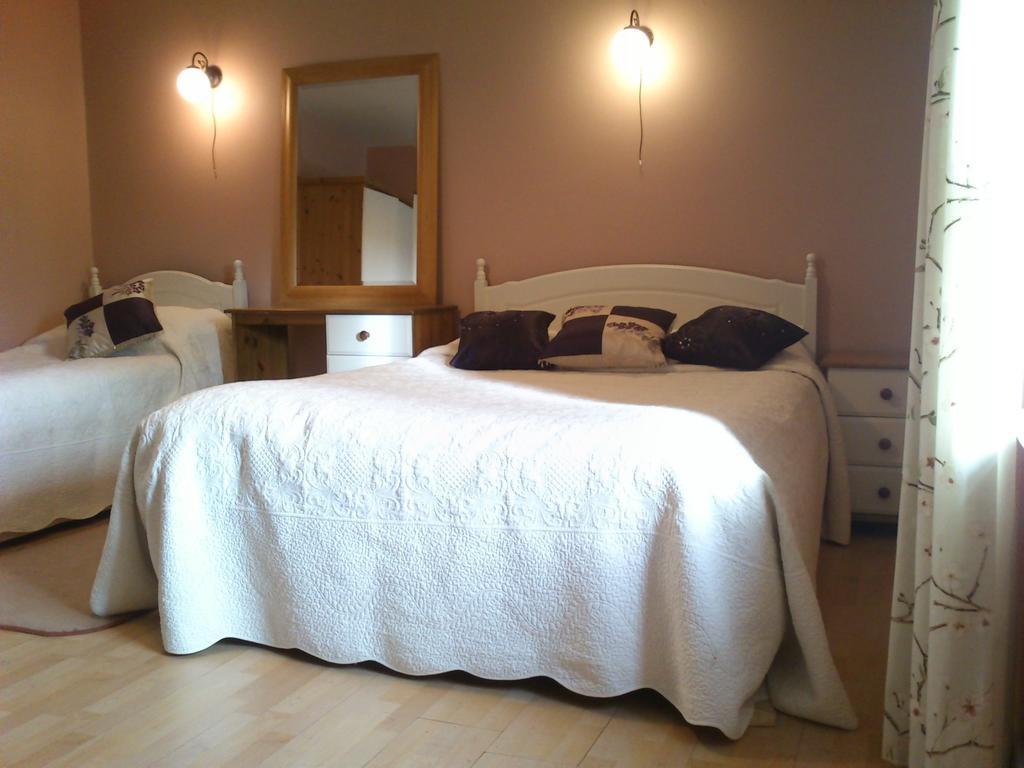 Coolanowle Self Catering Holiday Accommodation Карлоу Стая снимка