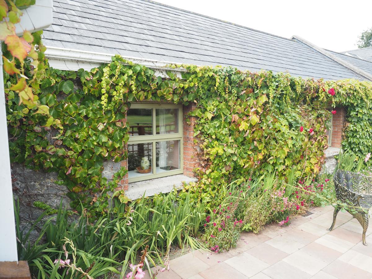 Coolanowle Self Catering Holiday Accommodation Карлоу Екстериор снимка