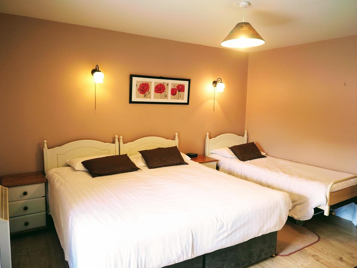 Coolanowle Self Catering Holiday Accommodation Карлоу Екстериор снимка